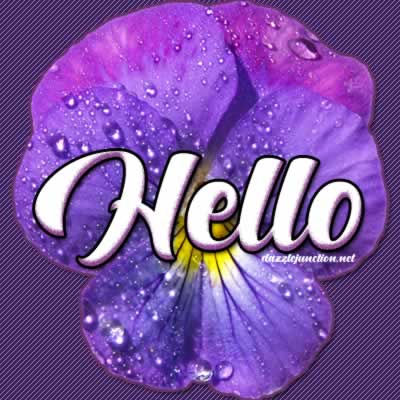 Purple Flower Hello picture