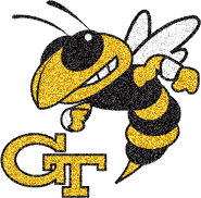 Georgia Tech Yellow Jackets picture
