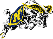 Navy Midshipmen picture
