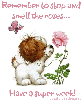 Rose Week