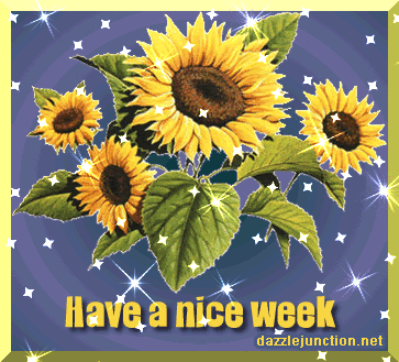Sunflower Week picture