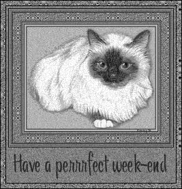 Perrfect Weekend