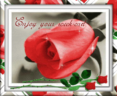 Weekend Rose