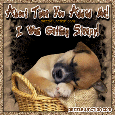 Cute sleeping puppy graphic with a Thanks for the Add message.
