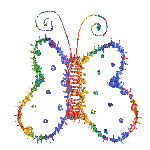 Little Multi Butterfly