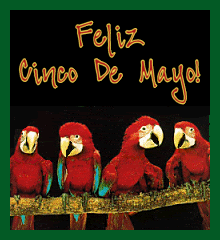 Cinco De Mayo Birds