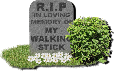 Walking Stick Rip