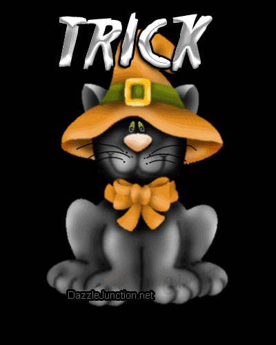 Trick Cat