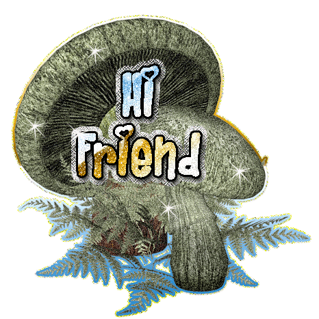 Mushroom greeting image that says Hi Friend