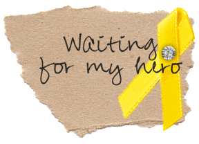 Waiting For Hero