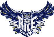 Rice Owls