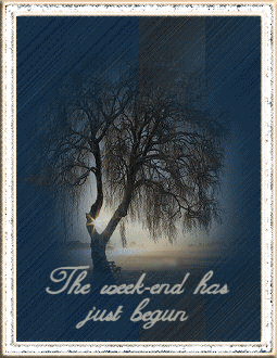 Weekend Just Begun