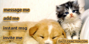 Dog Cat Contact Table