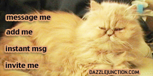 Fluffy Cat Contact Table