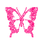 tiny-pink-butterfly.gif picture