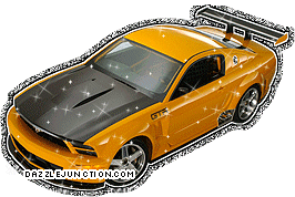Race Cars 8
