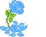 blue-flower.gif picture