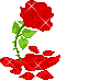 red-flower.gif picture