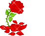 Red Flower