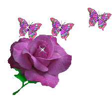 Rose Butterflies comment