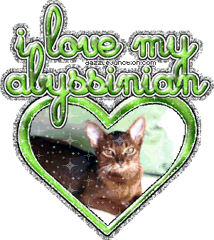 I Love My Abyssinian