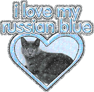 I Love My Russianblue