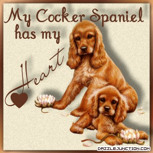 Cocker Spaniel Heart