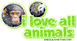 Animal Lovers I Love All Animals picture