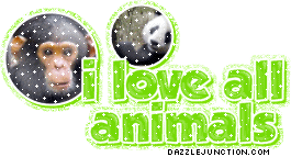 I Love All Animals
