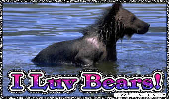 I Love Bears