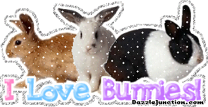 Animal Lovers I Love Bunnies picture