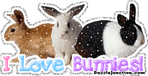 I Love Bunnies