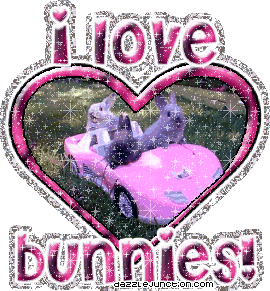 Animal Lovers I Love Bunnies quote