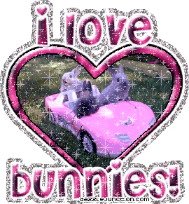 I Love Bunnies