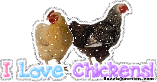 Animal Lovers I Love Chickens picture