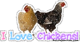 I Love Chickens 1
