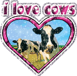 Animal Lovers I Love Cows picture