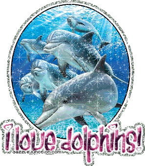 Animal Lovers I Love Dolphins picture