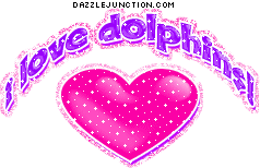 I Love Dolphins