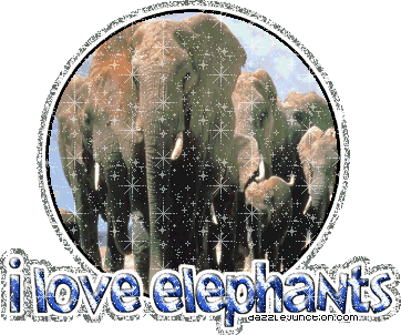 Animal Lovers I Love Elephants picture