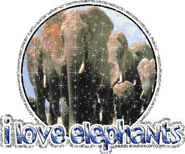 I Love Elephants