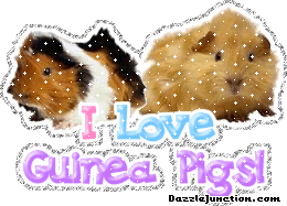 Animal Lovers I Love Guinea Pigs picture