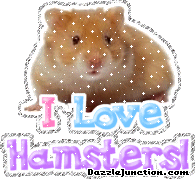 Animal Lovers I Love Hamsters picture