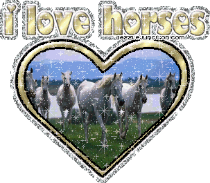 Animal Lovers I Love Horses picture