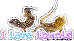 Animal Lovers I Love Lizards picture