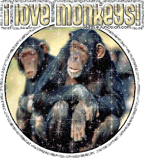 Animal Lovers I Love Monkeys picture