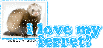 Animal Lovers I Love My Ferret picture