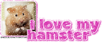 Animal Lovers I Love My Hamster quote