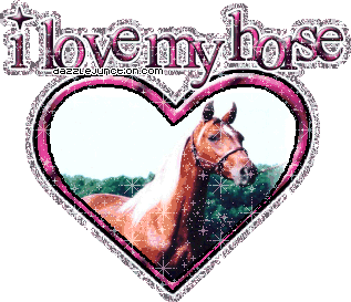 Animal Lovers I Love My Horse picture