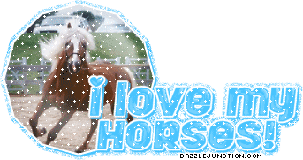 I Love My Horses